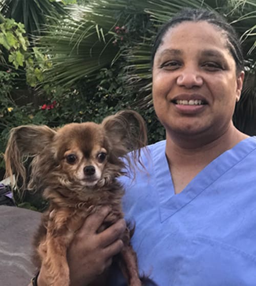 Dr. Katie Rainey, Glendale Veterinarian