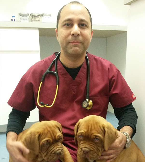 Dr. Chezi Ram, Glendale Veterinarian